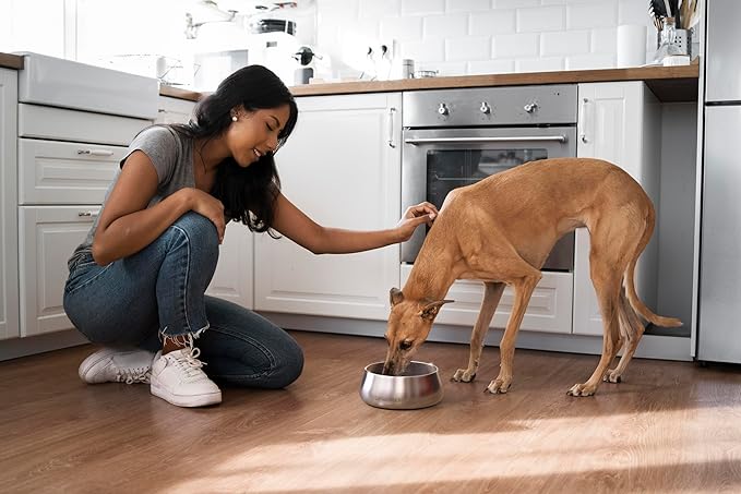 Sipworks Stainless Steel Dog Bowl – 32oz Weighted Metal Food and Water Bowls for Dogs and Cats with Non-Slip Base - Pet Bowls for All Breeds Sizes for Travel & Outdoor Play | Light Cyan