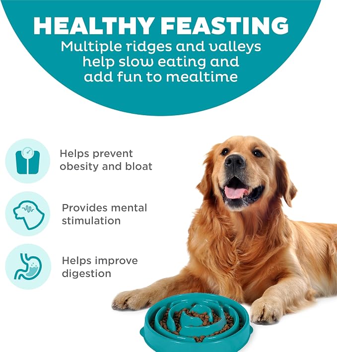 Outward Hound Fun Feeder Slo Bowl – Large 4‑Cup Capacity, Slow Feeding - Image 2