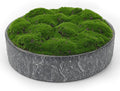 NAHARO New Moss Bowl, Living Room, or Coffee Table Display by NAHARO