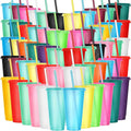 Honeydak 60 Pack Tumbler with Straw and Lid Bulk Cups by Honeydak