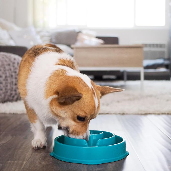 Outward Hound Fun Feeder Slo Bowl – Medium 2‑Cup Capacity, Slow Feeding - Image 6