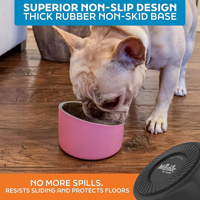 Master Pet Supply Stainless Steel Slanted Dog Cat Food Bowl - 8 oz Heavy Duty - Black Velvet, Double Wall Insulated, Non-Slip Elevated Bowl for French Bulldogs Pugs Cats, Anti Rust Dishwasher Safe