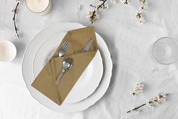 Accent Home 100% Cotton Napkins, Delicate Cloth Napkins for Dinners, Parties and Weddings，18 x 18 Inch Set of 6 - Brown