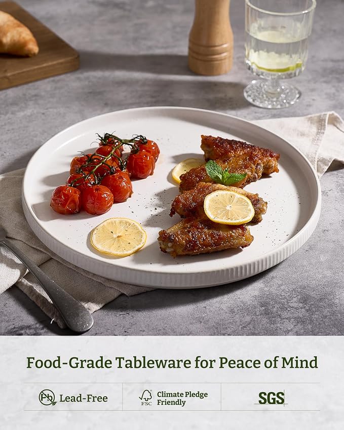 famiware Star Dinner Plates for 6, 10 inches Plate Set, Scratch Resistant - Image 5