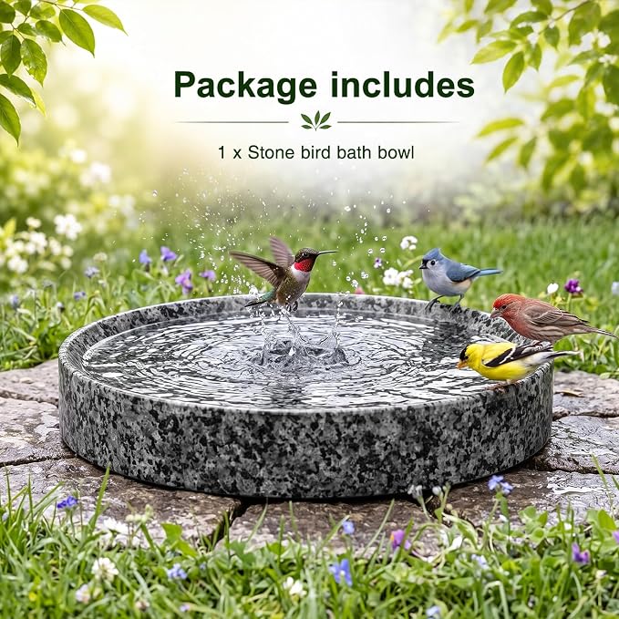 Stone Bird Bath, 10 Inch Heavy Bird Bath Bowl Only - Image 6