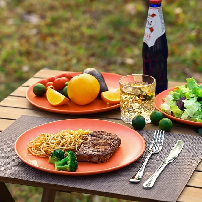 TP 10" Plate Set, 6-Piece Melamine Round Dinner Plates, Unbreakable Weighty Serving Dishes for Home, Outdoor Party, Restaurants, Orange