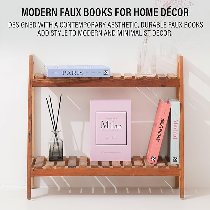 Pastel Medium | 4 PCS Faux Decorative Books for Home Decor | Not Real Books (Cardboard Boxes) | Coffee Table, Shelf Styling & Modern Aesthetic Accent Pieces for Living Room, Office
