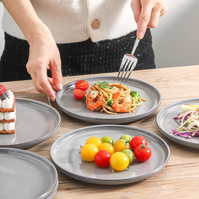 Ceramic Dinner Plates Set of 6,Stoneware 10 Inch,Microwave,Dishwasher and Oven Safe,Porcelain Dessert Plates for Pasta,Salad and Steak,Christmas Gift,Dish for Kitchen,Scratch Resistant,Gray