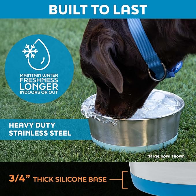 Master Pet Supply Stainless Steel Dog Bowls Set of 2 with Extra Thick Silicone Base - 2 Cup (16 oz) Emerald Sea, Non-Slip, Dishwasher Safe Metal Bowls, Pet Dog Food Bowl for Dogs, Cats, Anti Rust