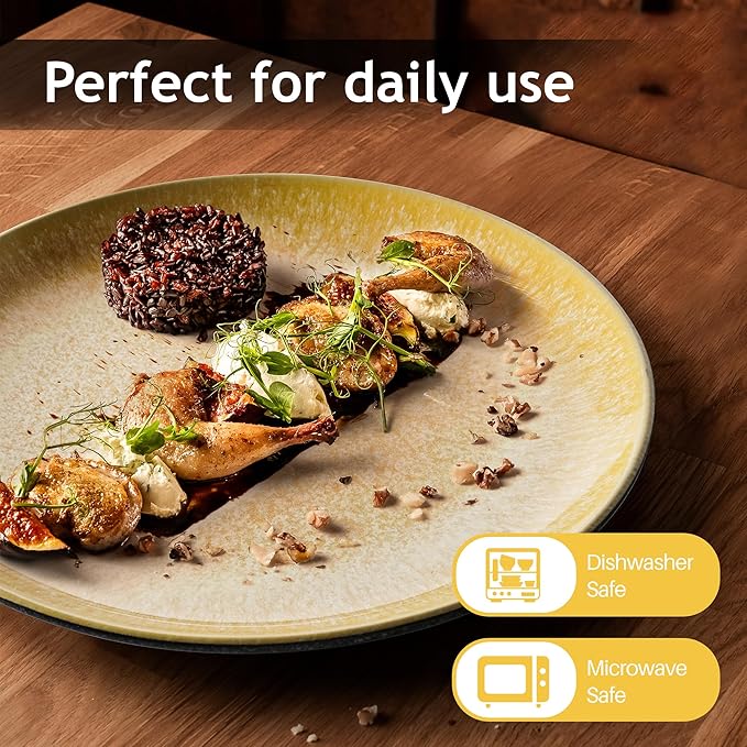 MIAMIO – Set of 6, Dinner Plates, Ceramic Plates, Kitchen plates, Plate Sets – Microwave Safe Plates, Oven and Dishwasher Safe – Las Palmitas Collection
