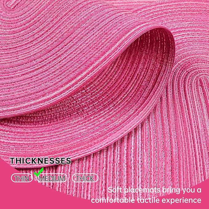 Noctiflorous Oval Braided Placemats Set of 6 Woven 12x18 Inch Non Slip Washable Heat Resistant Place Mats Tablemats for Dining Kitchen Party Daily Table Decor Dinner Mats (Hot Pink, 6)
