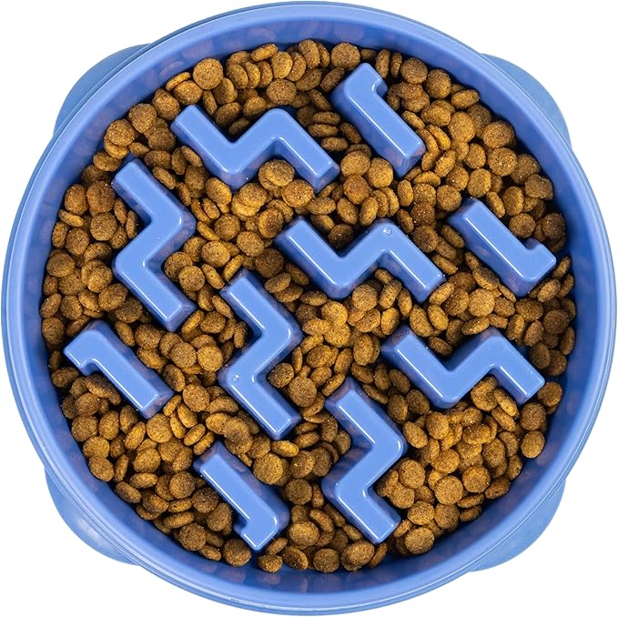 Outward Hound Fun Feeder Slo Bowl – Large 4‑Cup Capacity, Slow Feeding by OutwardHound