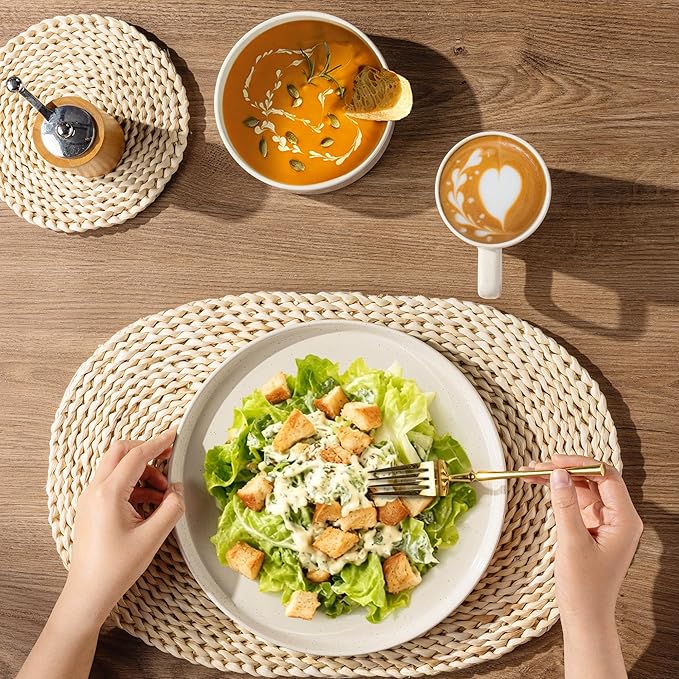 AmorArc Ceramic Dinnerware Set for 8 | Speckled Stoneware Plates and Bowls with Rustic Terracotta Underside| Scratch Resistant,Dishwasher & Microwave Safe Dishes Sets- 24pcs