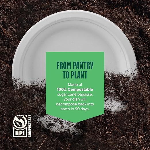 100% Compostable Disposable Paper Plates - Image 6
