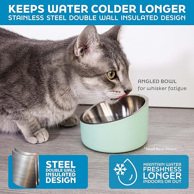 Master Pet Supply Stainless Steel Slanted Dog Cat Food Bowl - 24 oz Heavy Duty - True Blue, Double Wall Insulated, Non-Slip Elevated Bowl for French Bulldogs Pugs Cats, Anti Rust Dishwasher Safe