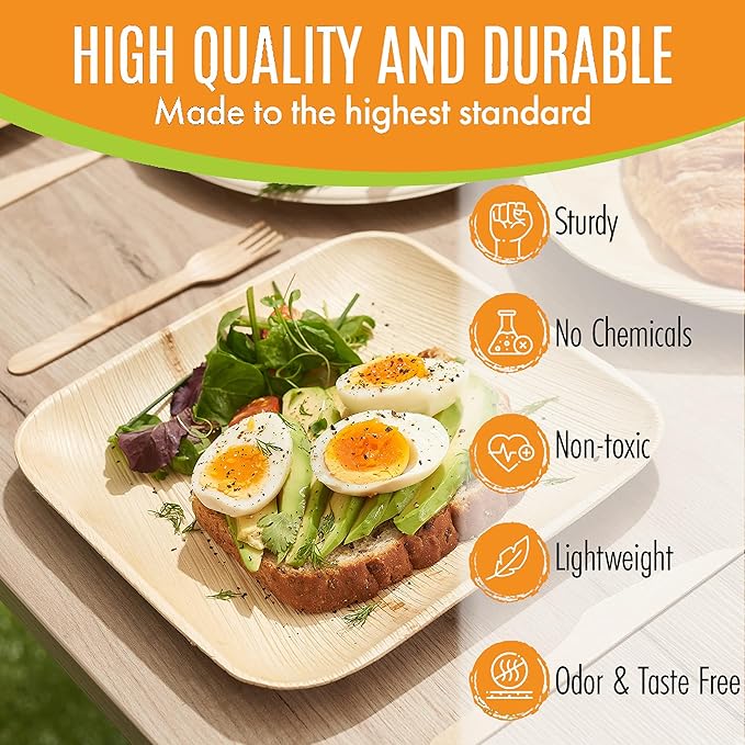 Raj Eco Compostable Palm Leaf Plates Like Bamboo Plates Disposable - 8 Inch Square 50 party plates, Natural wooden, Eco-Friendly, fancy Biodegradable & Disposable Dessert appetizer Plates