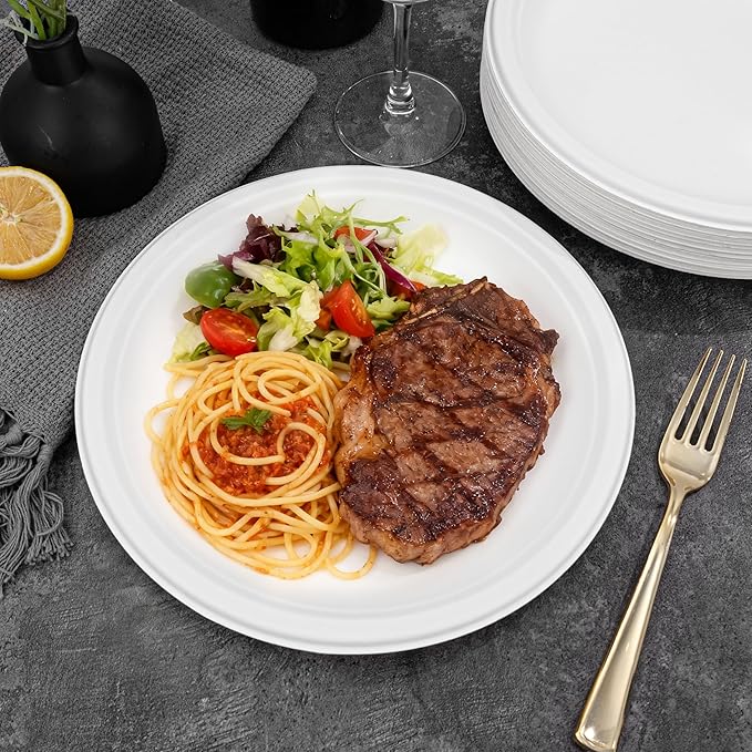 DaYammi 100% Compostable Paper Plates 10 Inch, 60-Pack Heavy Duty Paper Plates Bulk,Biodegradable Bagasse,Eco-Friendly Disposable Dinner Plate for BBQ,Picnic,Party (BPI Certified,Microwaveable)