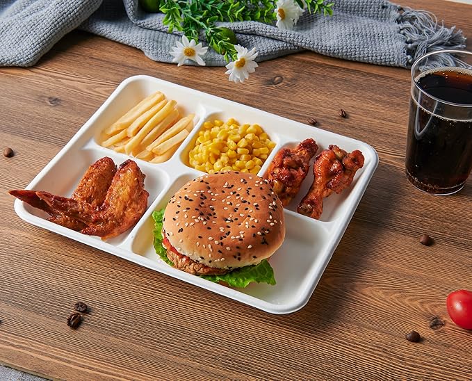 Vplus 500 Pack 5 Compartment Plates, 100% Compostable Paper Plate, 10.25x8.5 inch Disposable School Lunch Trays, Eco-Friendly Bagasse Plates for School Lunch, Buffet, and Party, Perfect for Kids