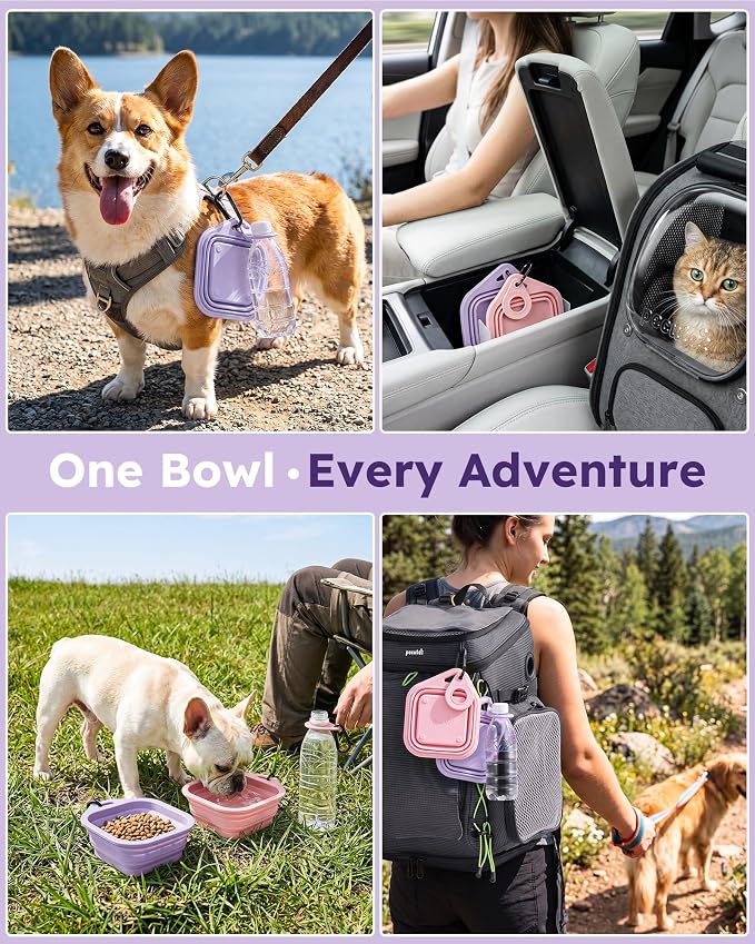 Pecute 2 Pack Foldable Dog Bowls - Image 8