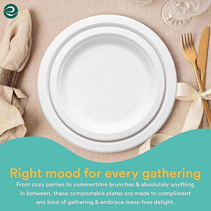 ECO SOUL 9 Inch Compostable Disposable Paper Plates [400 Pack] Food Safe 100% Virgin Bagasse Pulp Heavy Duty Biodegradable Microwave Safe Large Round Dinner Plate for Party, Picnic & BBQ (White)
