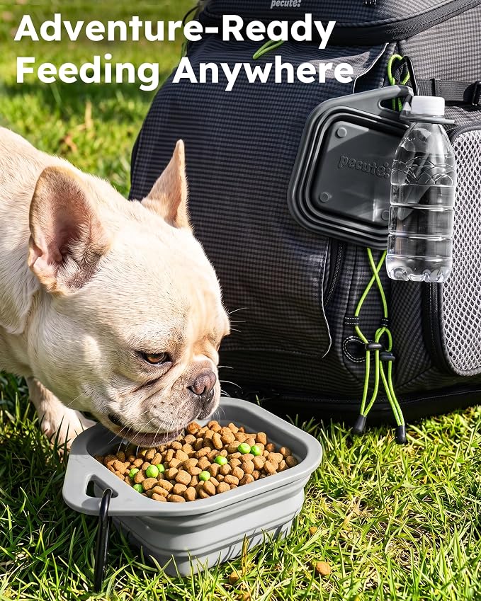 Pecute 2 Pack Foldable Travel Dog Bowls, Portable Silicone, BPA Free, - Image 2