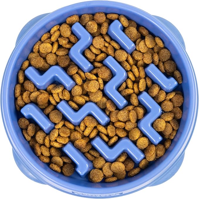 Outward Hound Fun Feeder Slo Bowl – Medium 2‑Cup Capacity, Slow Feeding by OutwardHound