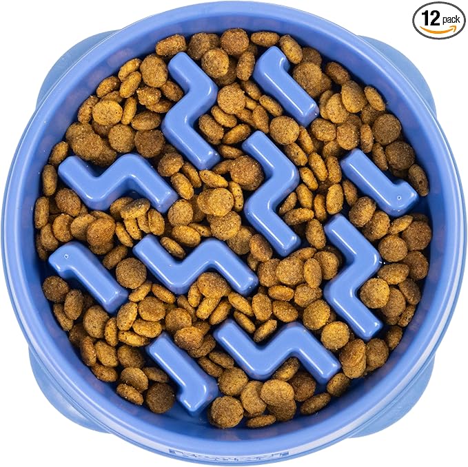 Outward Hound Fun Feeder Slo Bowl – 2‑Cup Capacity, Slow Feeding, Small to by OutwardHound