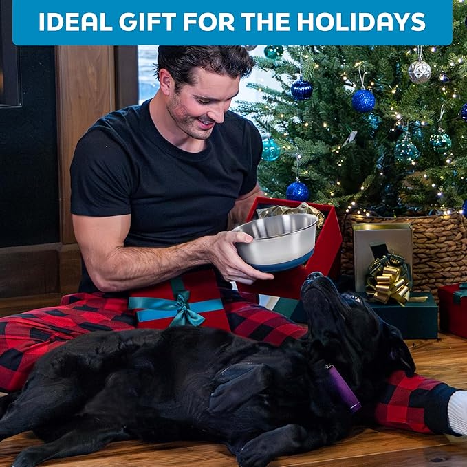 Master Pet Supply Stainless Steel Dog Bowls Set of 2 with Extra Thick Silicone Base - 4 Cup (32 oz) Black Velvet, Non-Slip, Dishwasher Safe Metal Bowls, Pet Dog Food Bowl for Dogs, Cats, Anti Rust