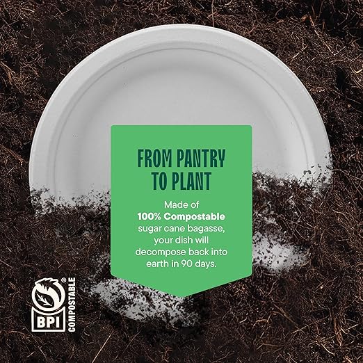 100% Compostable Paper Plates 9 Inch [500 Count] Heavy-Duty Dinner Plates - White Bagasse - Eco-Friendly Disposable Biodegradable Sugarcane Plates - [Bulk Case 4 x 125 Pack] - (BPI Certified)