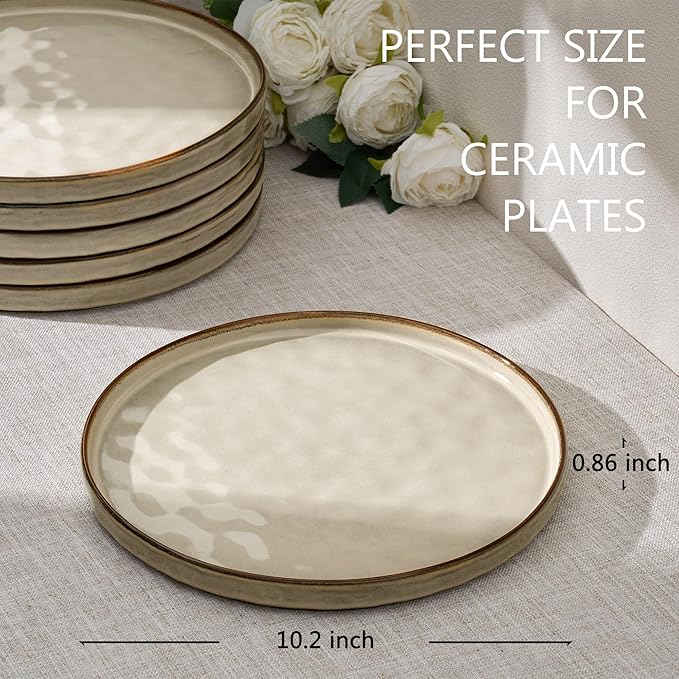 LIANYU Ceramic Plates Set for 4, 10.2In Porcelain Dinner Salad Appetizer Plates for Kitchen, Modern Round Stoneware Dining Dish Set, Scratch Resistant, Microwave, Oven and Dishwasher Safe, Sandy Beige