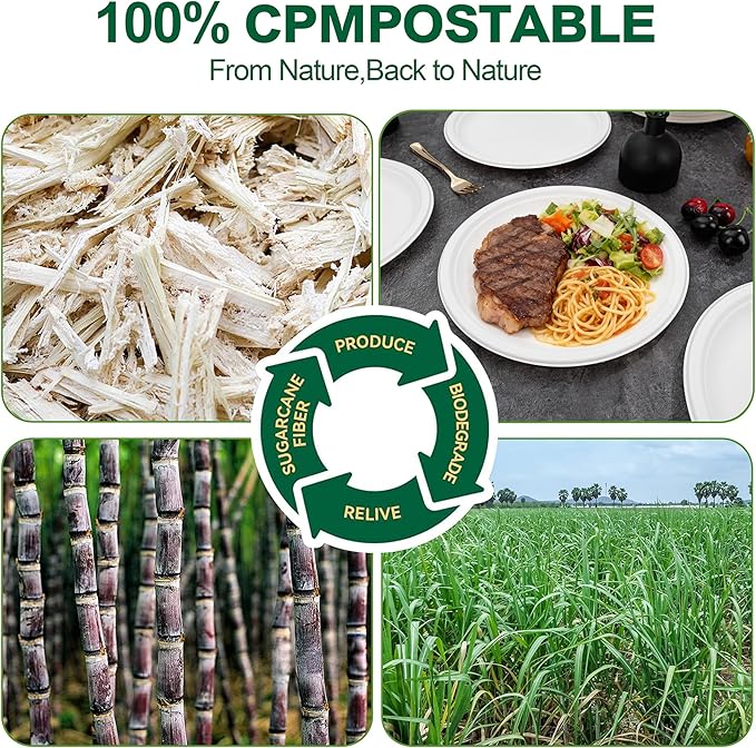 DaYammi 100% Compostable Paper Plates 10 Inch, 125-Pack Heavy Duty Paper Plates Bulk,Biodegradable Bagasse,Eco-Friendly Disposable Dinner Plate for BBQ,Picnic,Party (BPI Certified,Microwaveable)
